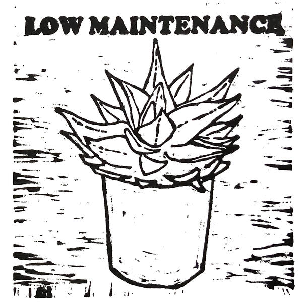 15 Low Maintenance
